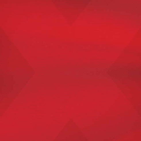 Denmark Soccer Flag iPhone XS Skin